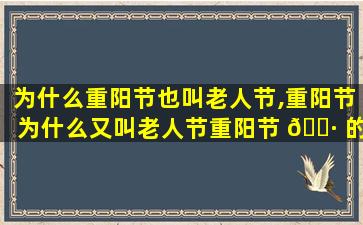 为什么重阳节也叫老人节,重阳节为什么又叫老人节重阳节 🕷 的感悟